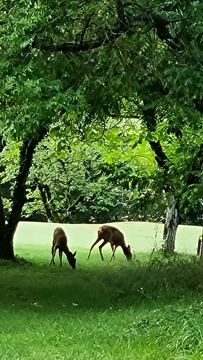 Bouysset camp bezoek 2021