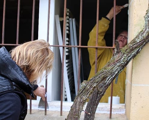 3155b033-7bd4-4886-b3cc-0929f9b1e3e2