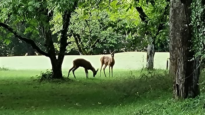 Bouysset camping bezoek 2021 Bouysset camping 2021