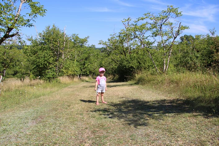 Bouysset les noix Bouysset les noix